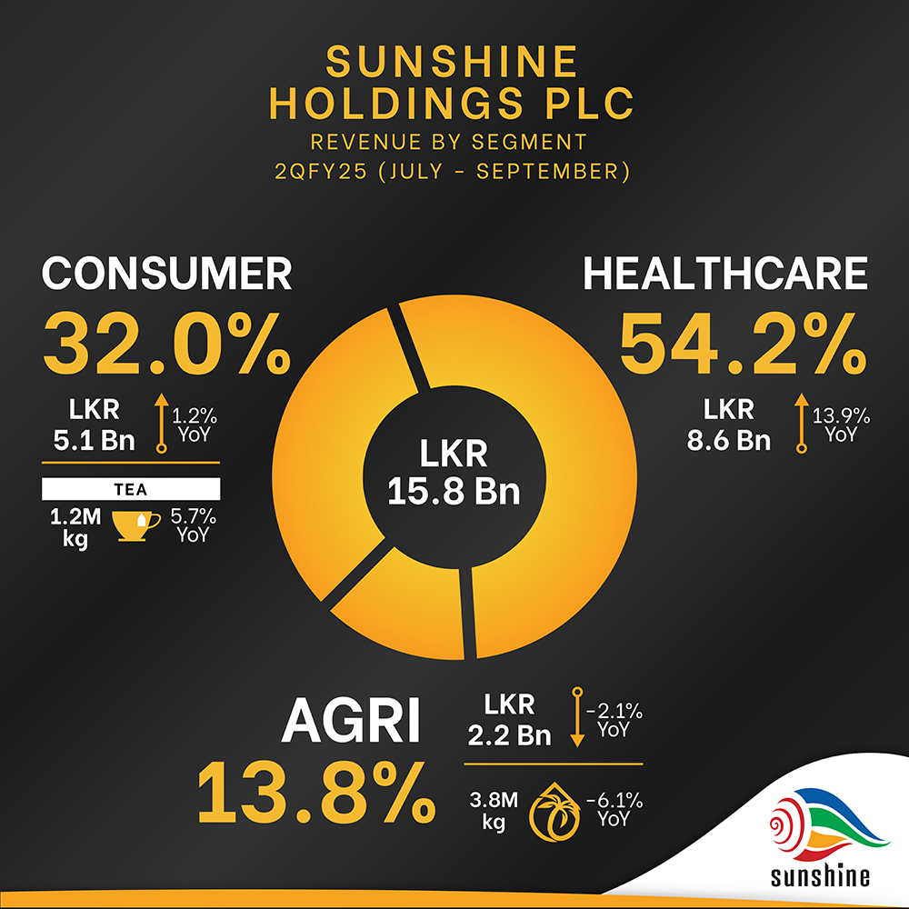 Revenue bu Segment